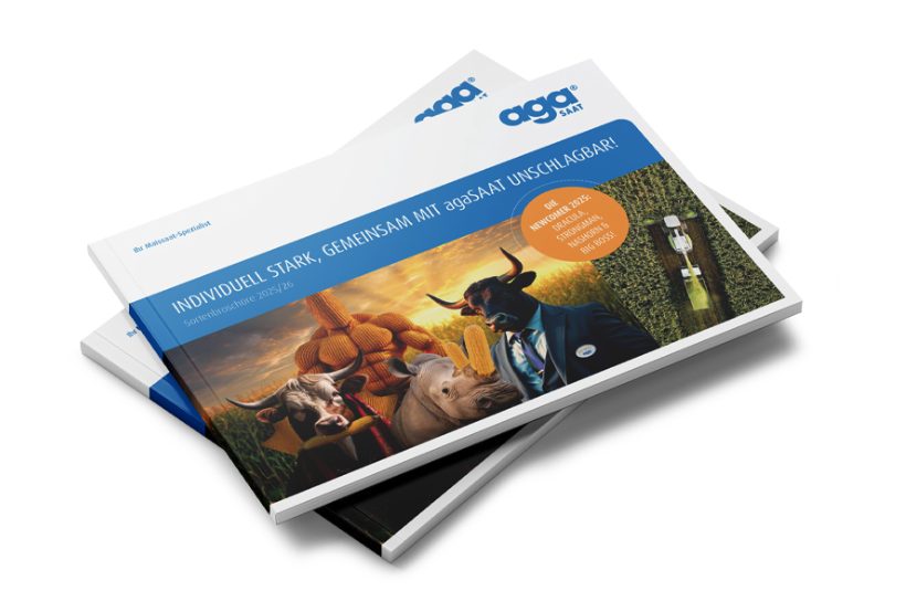 aga Maissaat Broschüre Beckmann Bargenstedt